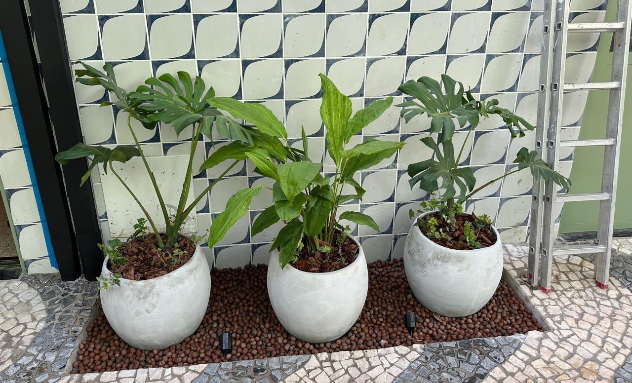 Equipe de paisagismo