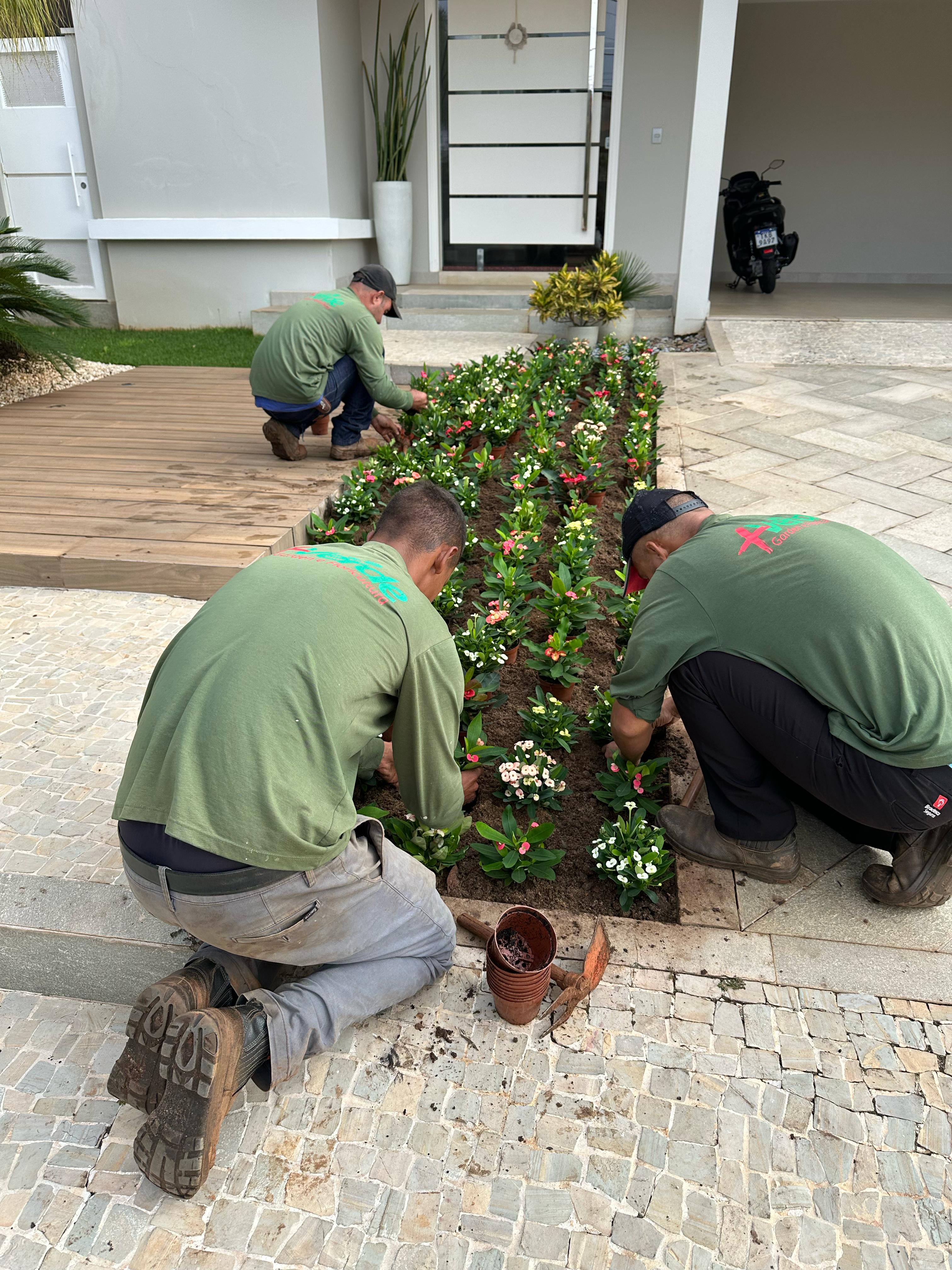 Equipe de paisagismo