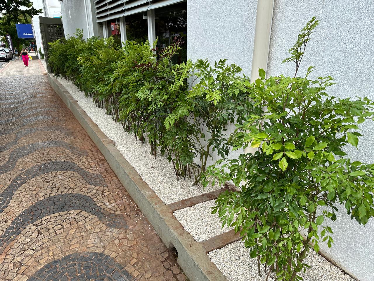 Equipe de paisagismo