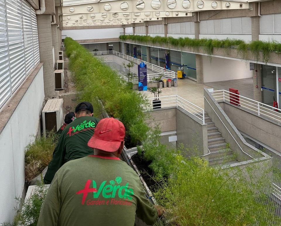Equipe de paisagismo